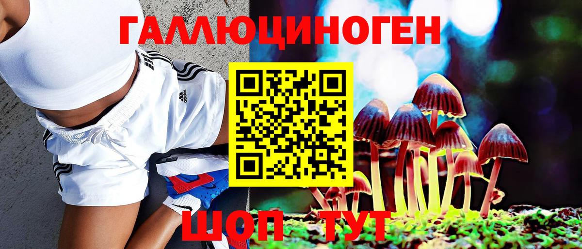 Псилоцибиновые грибы Cubensis  Вход с VPN  Каспийск  Галлюциногенные грибы Magic Shrooms 